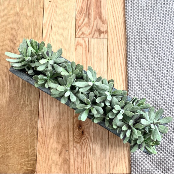 Chic rustic metal box plant - Picture 4 of 5